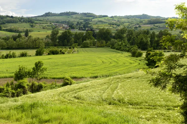 Paysage avec prairies et village dans la vallée de Curone, Piémont, I — Photo