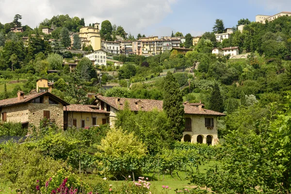 Casas na colina verde e bairro Borgo Canale, Bergamo — Fotografia de Stock