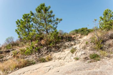Akdeniz 'in Tigullio kıyıları arasında yer alan ve Sestri Levante, Tigullio, Genova, Liguria, İtalya yakınlarındaki parlak sonbahar ışığında çekilen, antik Aurelia karayolu yerleşimi.