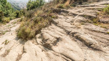 Tigullio kıyısındaki Akdeniz fundalıkları arasında, Tigullio, Sestri Levante, Tigullio, Genova, Liguria, İtalya yakınlarındaki parlak sonbahar ışığında çekilen,