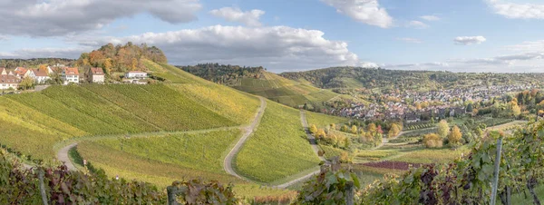Paysage Panoramique Avec Les Villages Rotenberg Uhlbach Parmi Les Vignobles — Photo