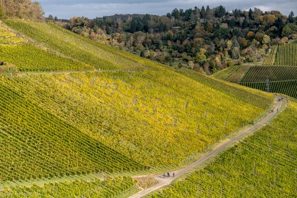 Herbstlandschaft Mit Weinbergen Hängen Der Nähe Von Rotenberg Aufgenommen Hellen — Stockfoto