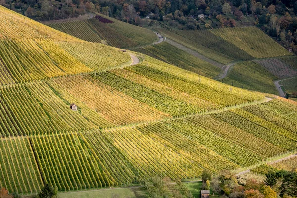 Vallandschap Met Rijen Wijnstokken Wijngaarden Hellingen Buurt Van Rotenberg Dorp — Stockfoto