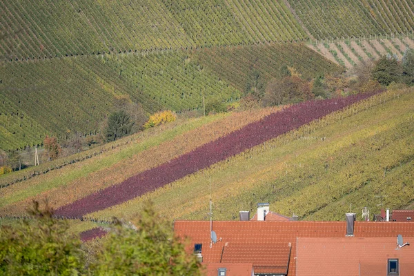 德国斯图加特附近的葡萄园和Rotenberg村的屋顶上 一片秋天色彩斑斓的风景 闪烁着明亮的落光 — 图库照片
