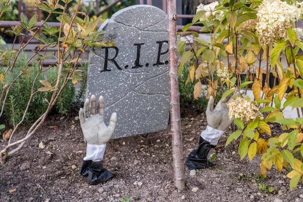 Ruce Mrtvého Těla Zvedají Země Zahradě Halloweenu Zastřeleny Jasném Podzimním — Stock fotografie