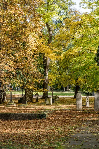 Cityscape Tombstones Trees Fall Foliage Burial Ground City Center Shot — Stock Photo, Image