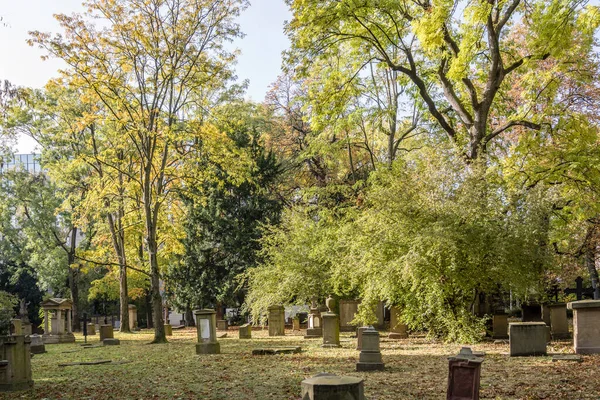 Městská Krajina Stromy Podzimním Listím Pohřebišti Centru Města Zastřelen Jasném — Stock fotografie