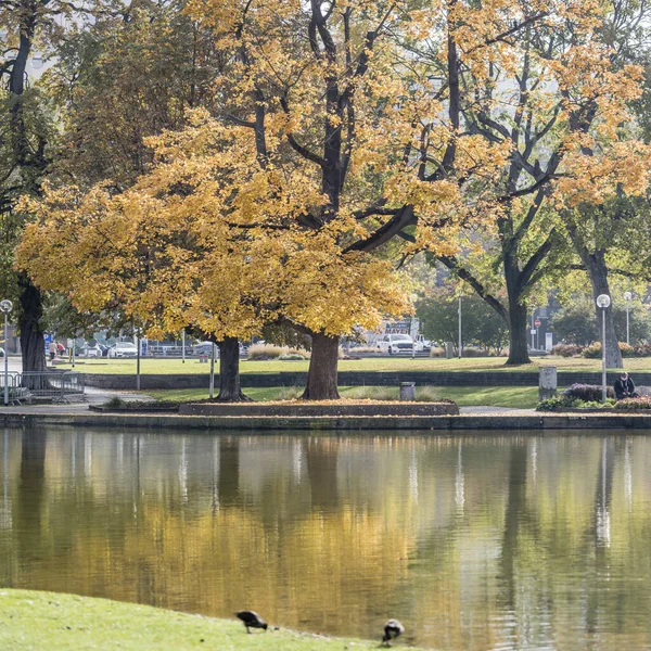 Stadtbild Mit Buntem Laub Das Sich Eckensee Teich Schlosspark Der — Stockfoto