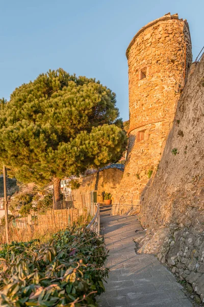 Paisaje Urbano Con Torre Del Castillo Pino Marítimo Fotografiado Brillante —  Fotos de Stock