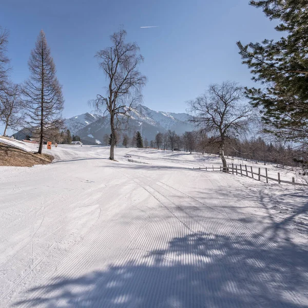 Winter Mountain Landscape Trees Snowy Slopes Ski Run Birkenlifte Shot — Stock Photo, Image