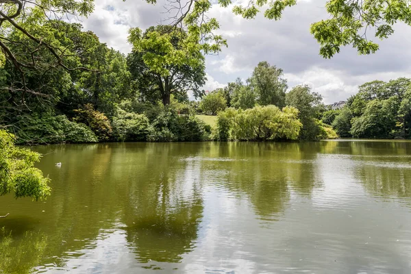 Orsted Park 'ta yeşil bitki örtüsü içinde göl manzarası, Kopenhag, Danimarka' da parlak bir ışık altında çekilmiştir.