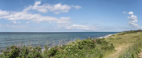 Landscape Grass Wild Flowers Green Shore Kattegat Sea Shot Sjaellands — Fotografia de Stock