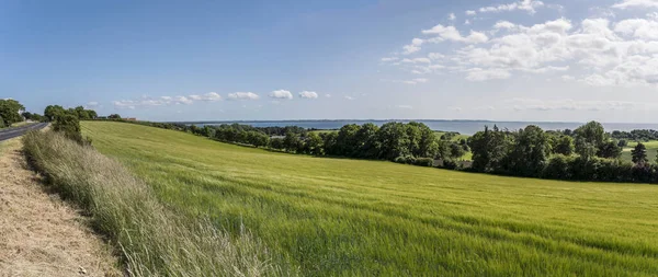 Landscape Grass Woods Green Shore Sea Shot Sjaellands Lumsas Denmark — Stock Photo, Image