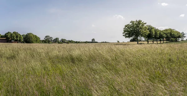 Landschaft Mit Großen Grünen Feldern Ländlicher Umgebung Aufgenommen Der Nähe Stockbild
