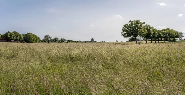 Landscape Large Green Fields Rural Countryside Shot Sjaellands Holbaek Denmark ストックフォト