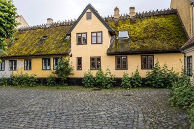 cityscape with lush Hollyock plants on cobbled pavement at straw roof traditional picturesque house,  shot  in bright cloudy light at Dragor, Denmark