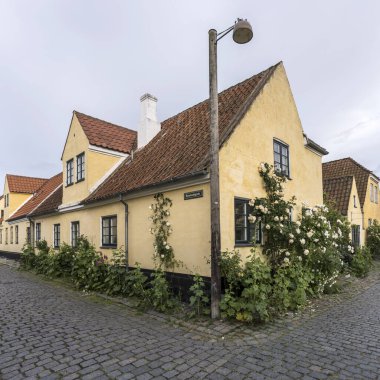 Danimarka 'nın başkenti Dragor' da parlak bulutlu bir ışıkta çekilen geleneksel pitoresk evdeki beyaz güller ve Hollyock bitkileriyle dolu şehir manzarası.