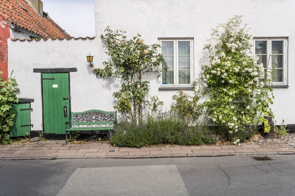 Beyaz Geleneksel Resim Evi Beyaz Gül Çiçekleri Ile Şehir Manzarası — Stok fotoğraf