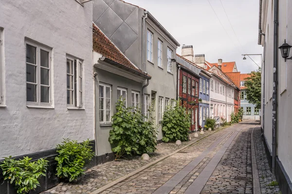 Cityscape Traditional Picturesque Coilorful Houses Cobbled Lane Hollyock Plants Sidewalk — Stok fotoğraf