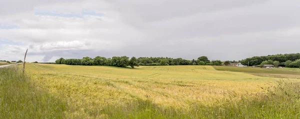 Landscape Large Crop Fields Hilly Countryside Shot Harreshojvej Hovestaden Denmark — Stock Photo, Image