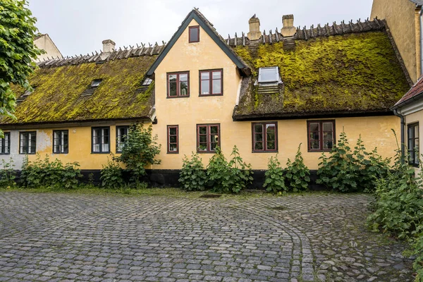 Stadsgezicht Met Weelderige Hollyock Planten Geplaveide Stoep Strodak Traditioneel Pittoresk — Stockfoto