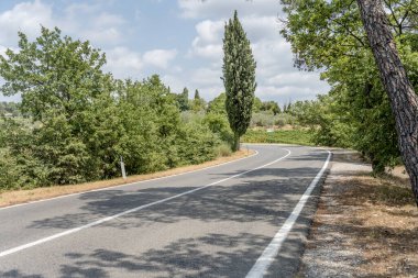 road bending in hilly landscape , shot in bright summer light near Ponzano in Chianti,  Siena, Tuscany, Italy
