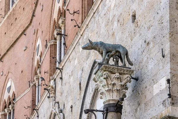 Capitoline Wolf Statue Marble Capitol Front Palazzo Pubblico Shot Bright — Stockfoto