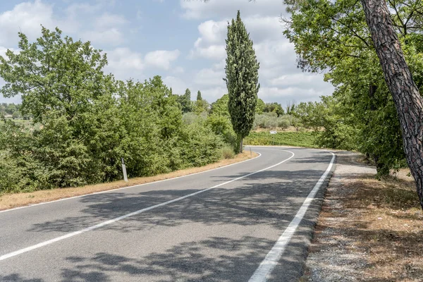 Road Bending Hilly Landscape Shot Bright Summer Light Ponzano Chianti — Stockfoto