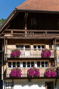 Ormanda çiçek açan petunya çiçekleri olan ahşap balkonlar, Gutach, Kara Orman, Baden Wuttenberg, Almanya yakınlarındaki yaz ışığında çekildi.
