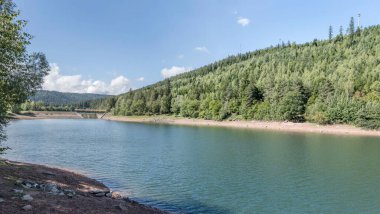 Yazın Seewald, Black Forest, Baden Wuttenberg, Almanya yakınlarındaki Nagold Gölü 'nün yeşil kuzey-batı kıyısında çekilen manzara.