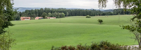 Country Landscape Green Fields Mild Slopes Woods Shot Summer Cloudy — Stock Photo, Image