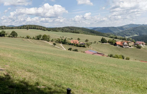 Krajobraz Odizolowanymi Gospodarstwami Zielonej Wyżynie Nakręcony Latem Pobliżu Muehlenbach Czarny — Zdjęcie stockowe
