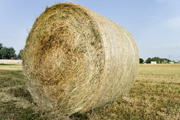 Stora balar av halm — Stockfoto