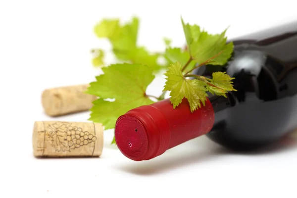 Kırmızı şarap şişesi ve mantarlar — Stok fotoğraf