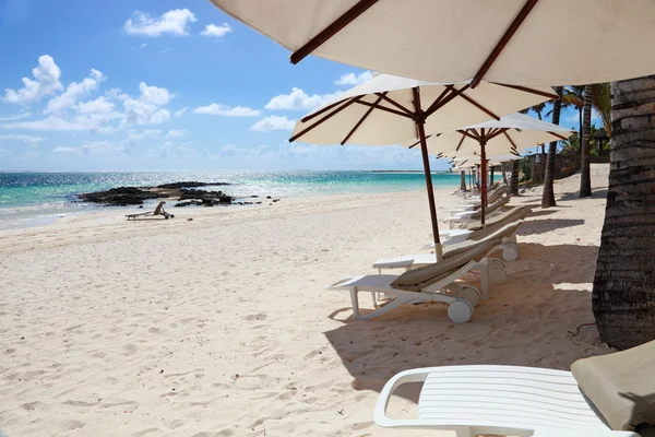 Курортный пляж Маврикия с зонтиками и стульями — стоковое фото