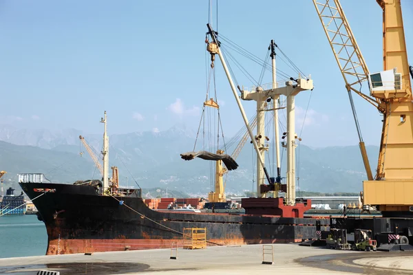 Harbor cranes — Stock Photo, Image