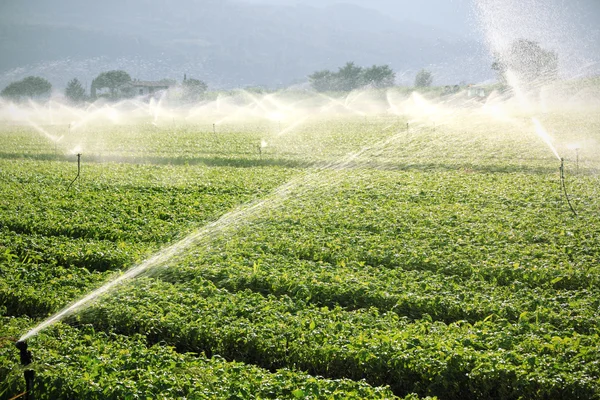 Boerderij achtergrond, irrigatiesysteem — Stockfoto