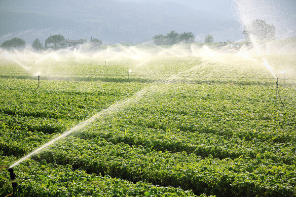 farm background, irrigation system