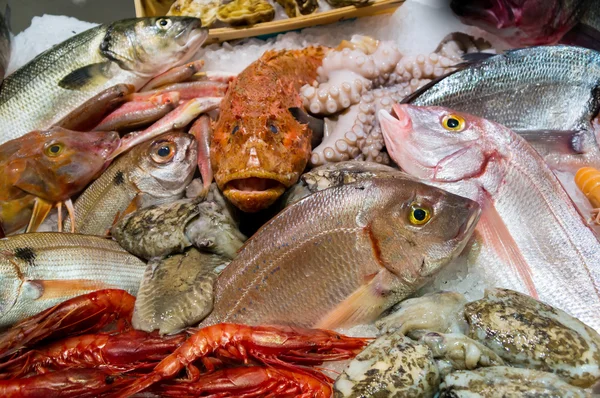 Pescado y mariscos —  Fotos de Stock