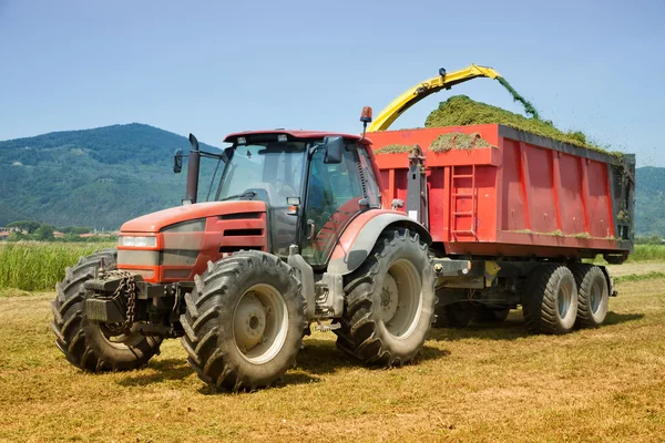 Chov červený traktor — Stock fotografie