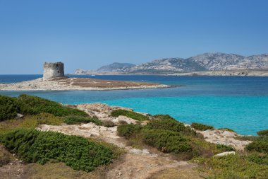 Stintino, Sardinya, İtalya.