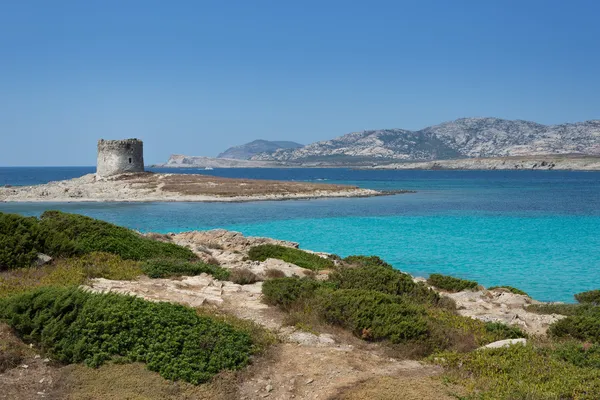 Stintino v Sardinie, Itálie. — Stock fotografie