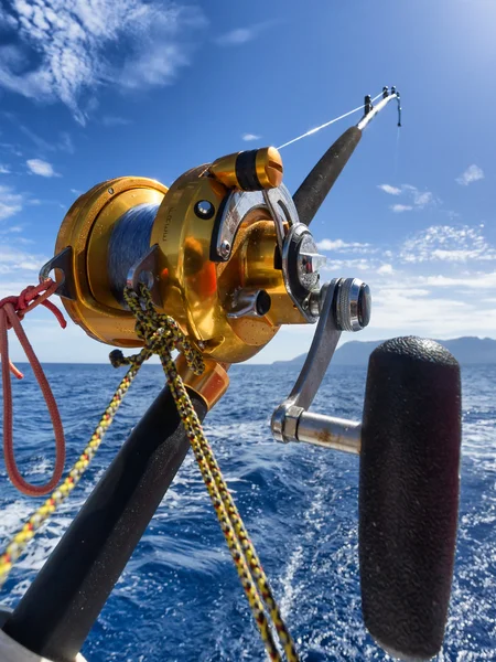 Fishing reel and pole — Stock Photo, Image