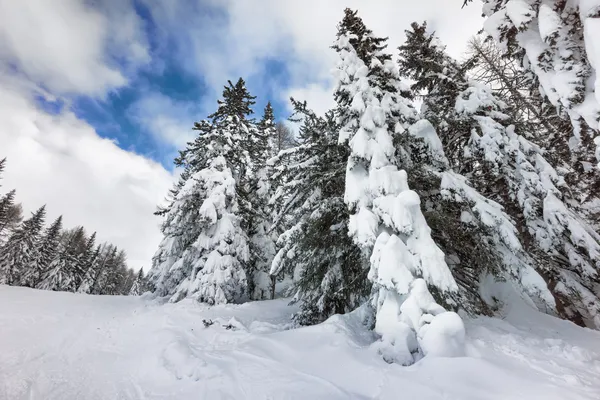 Paysage hivernal en montagne avec neige — Photo