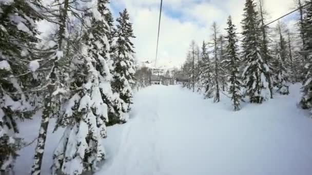Лыжный склон в лесу, на заснеженных итальянских Альпах — стоковое видео