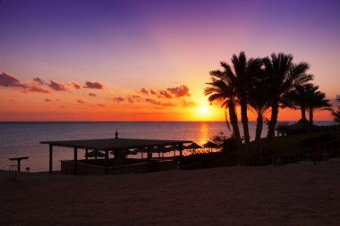 Sunset over the Red sea, Marsa Alam, Egypt clipart
