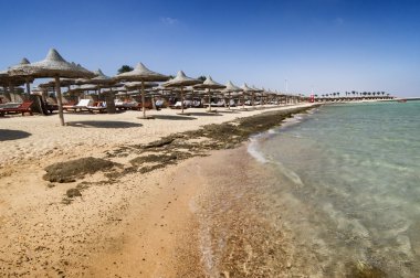 Marsa Alam beach with row of umbrella, Egypt clipart