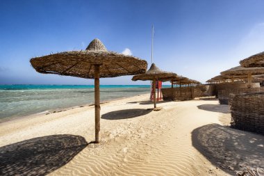 sunbeds and beach umbrella in Marsa Alam, Egypt clipart