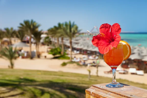 Hibiscus en cocktail tegen tropische zee resort strand — Stockfoto