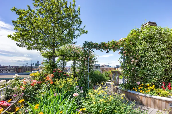 Roof garden — стокове фото